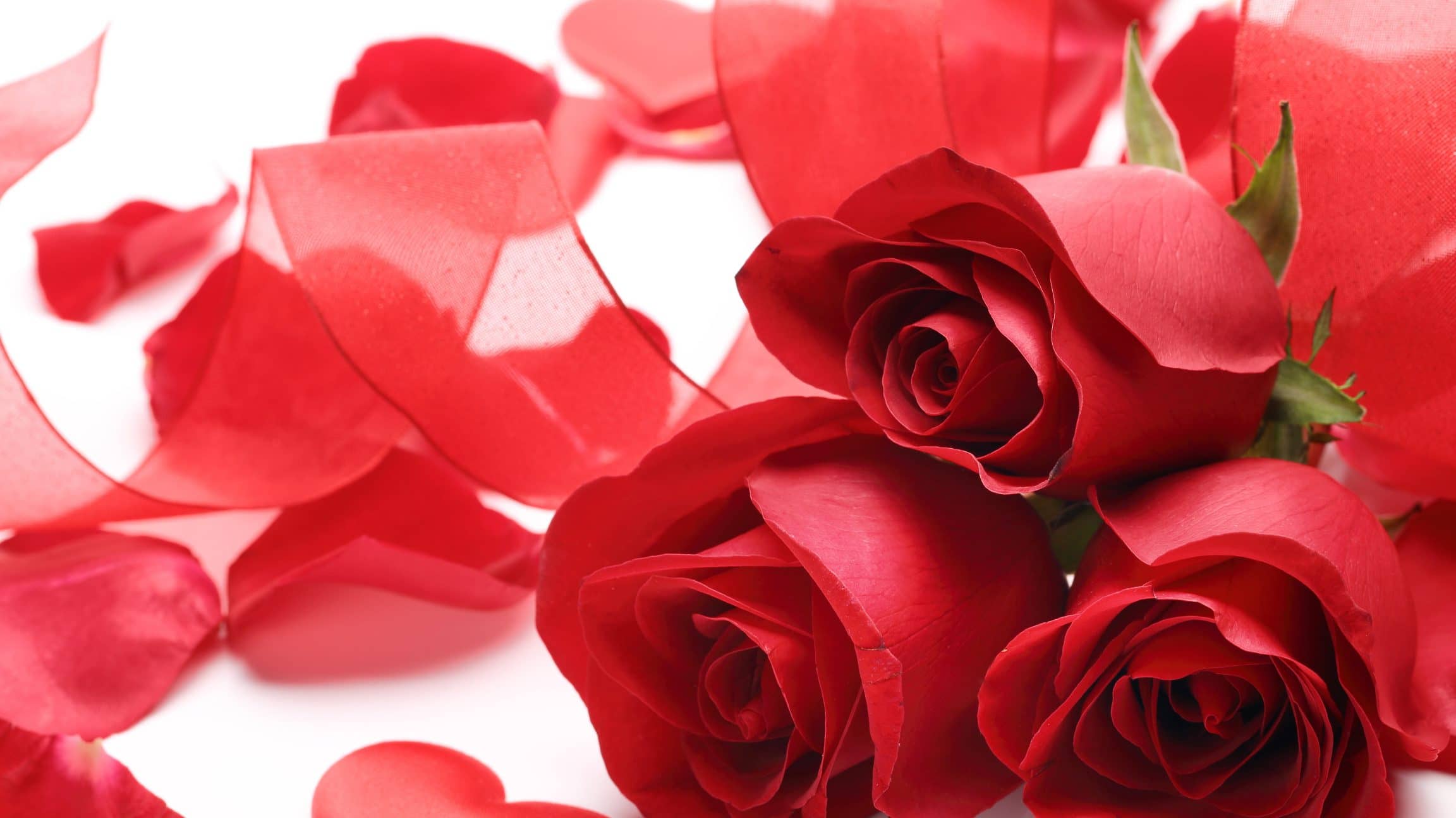 10 najboljih cvetova za Valentinovo