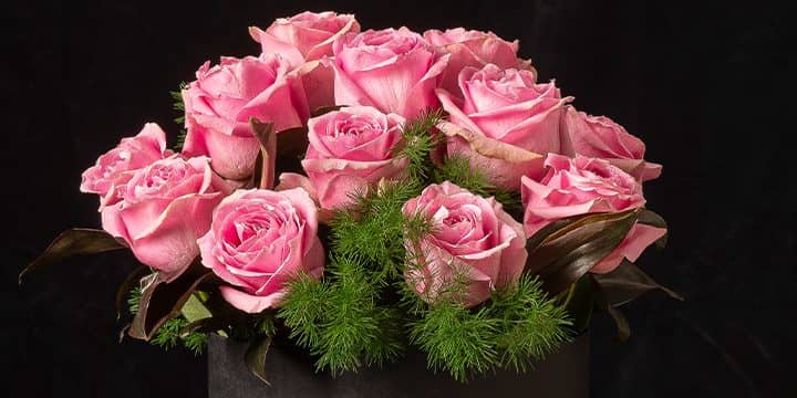 9 najromantičnijih cveća za Dan zaljubljenih