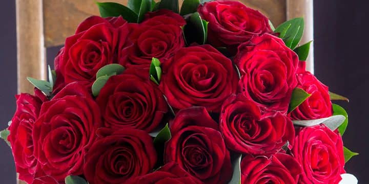Kako je crvena ruža postala krajnji simbol ljubavi