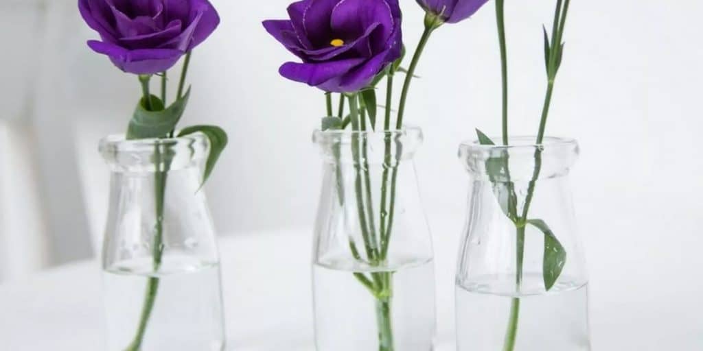 Kako odabrati savršenu vazu za svoje cveće