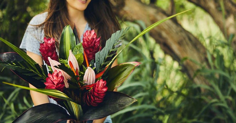 Najbolje tropsko cveće i biljke za leto