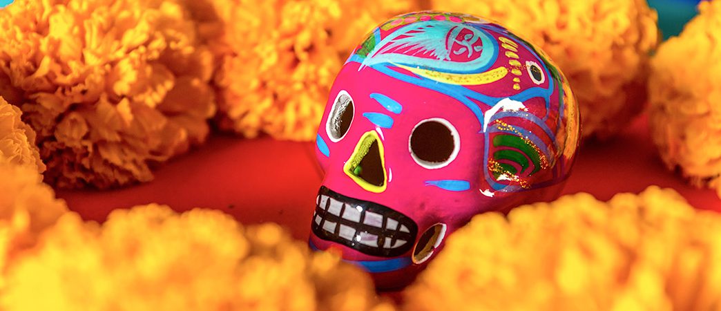 6 Cveća Dia de los Muertos: Istorija + značenje na Dan mrtvih