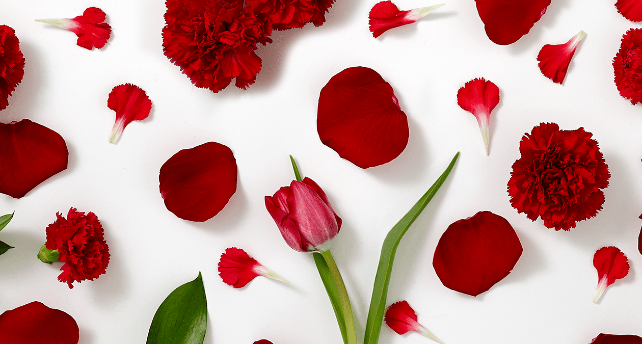 Da li vaše ruže za Dan zaljubljenih govore više nego što mislite?