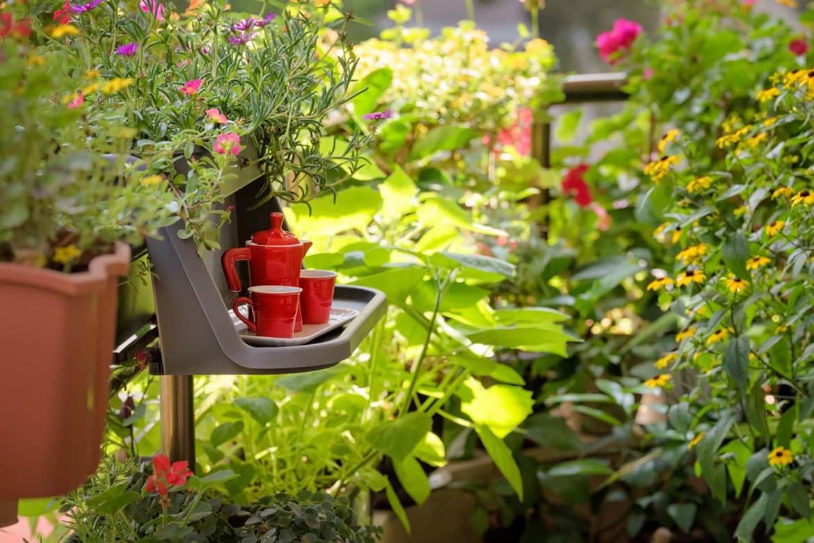 25 najboljih vrsta biljaka za balkone i krovne terase