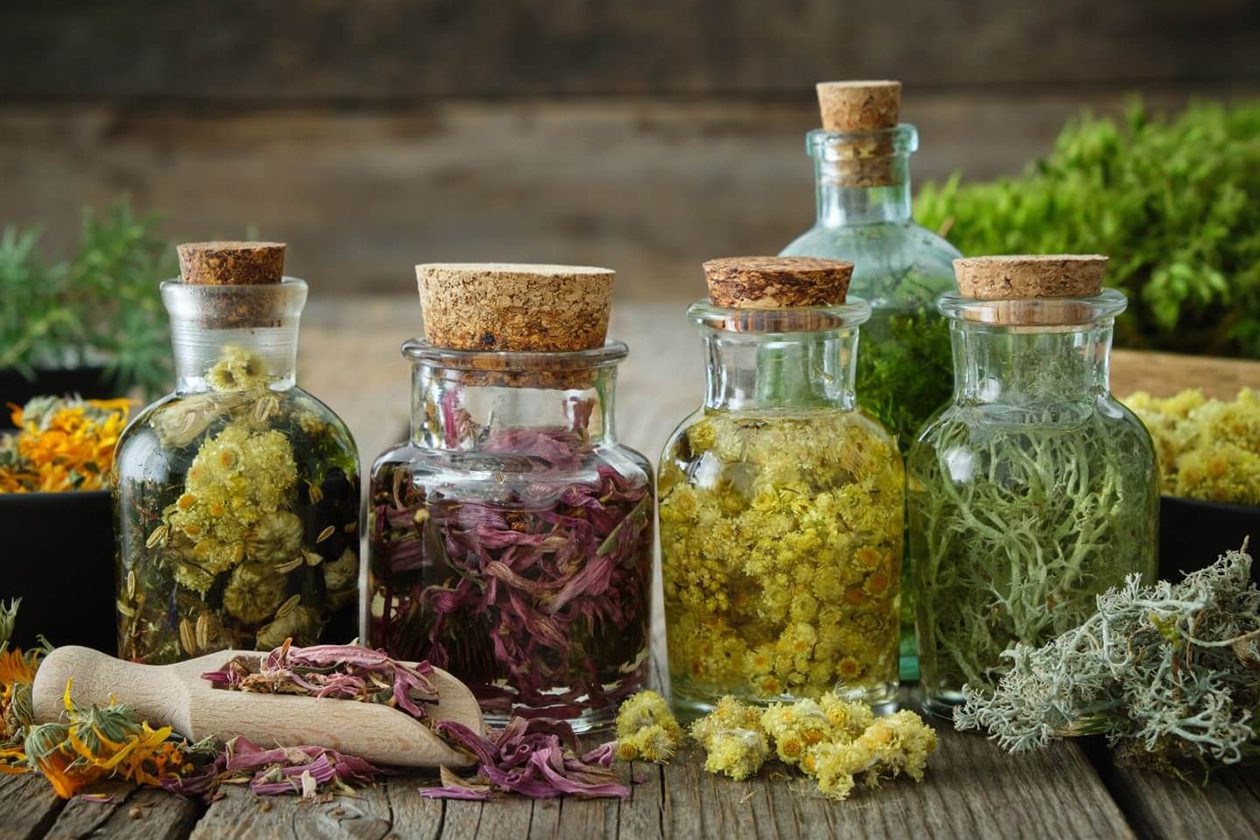 11 lekovitih cveća koje se koriste u tradicionalnoj biljnoj medicini