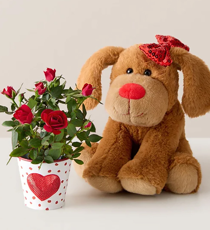 lovable