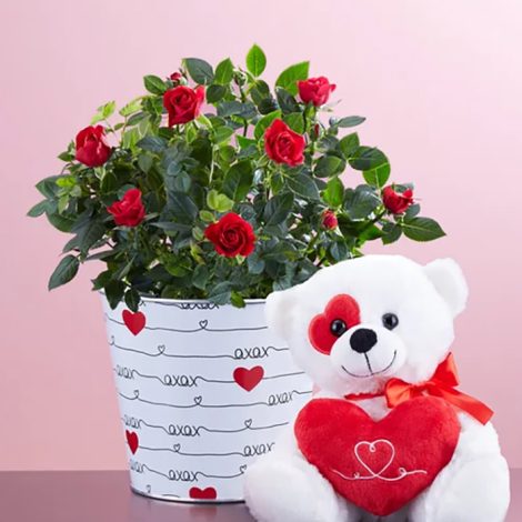 love rose