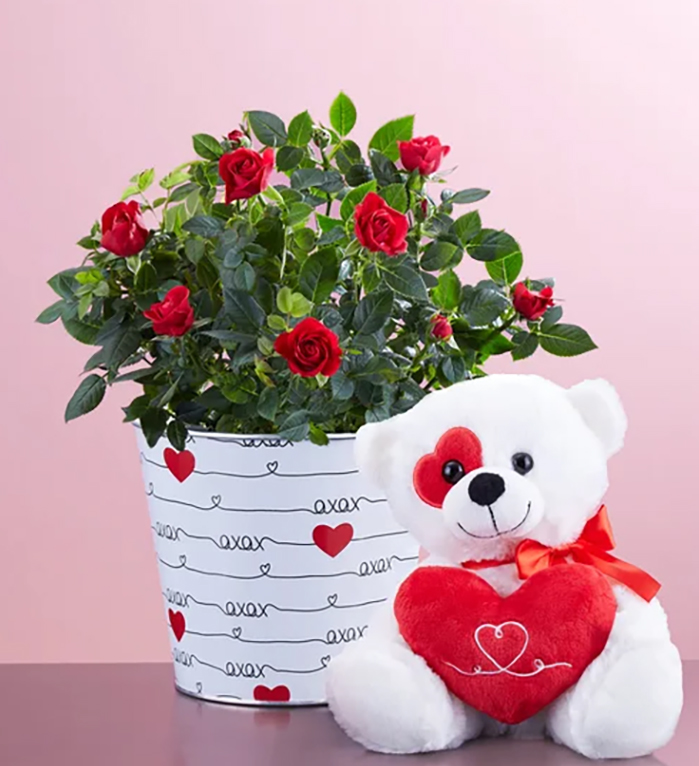 love rose