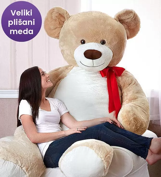 meda 002 1